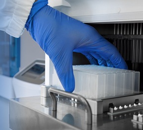 Pureprep 32 – DiagnosticaLatina